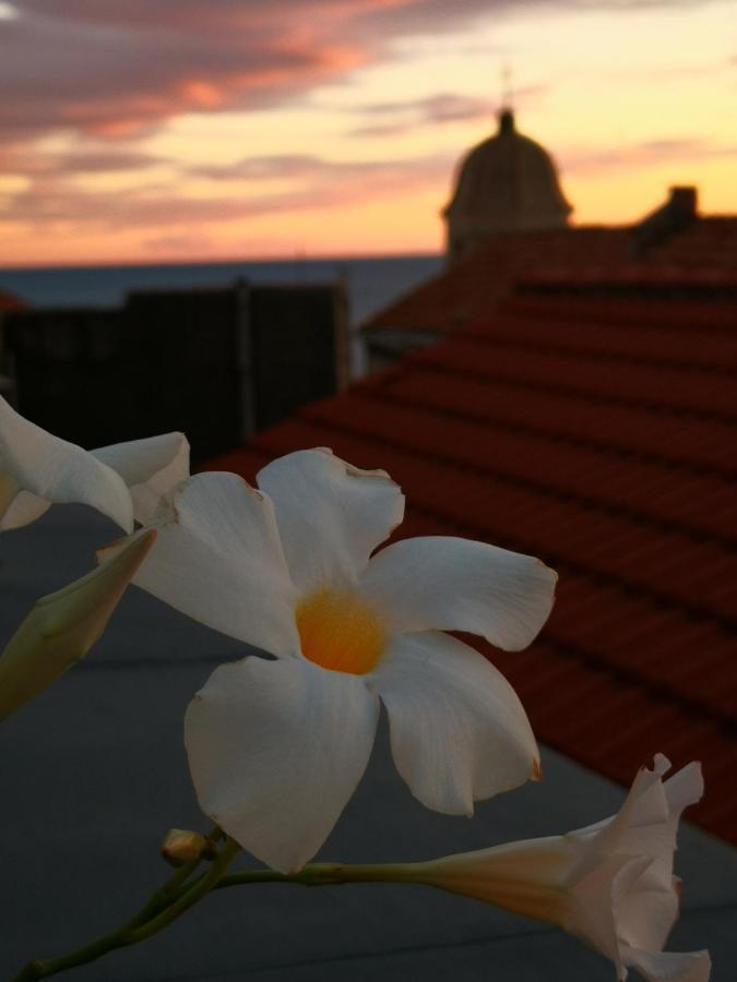 Hotel Bouquet Di Note Cervo Zewnętrze zdjęcie